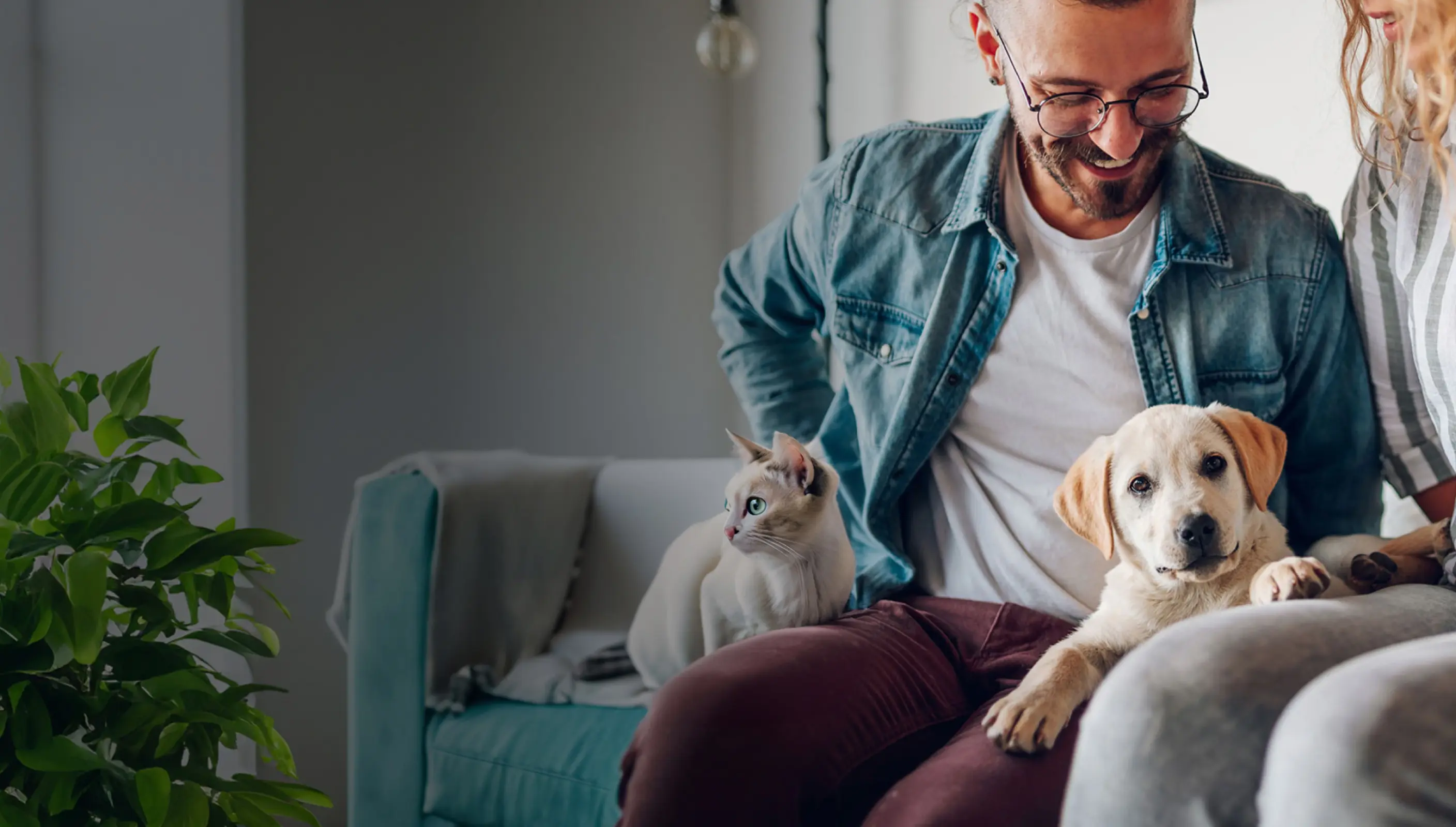 Une femme jouant avec son chat assuré chez Assur O’poil